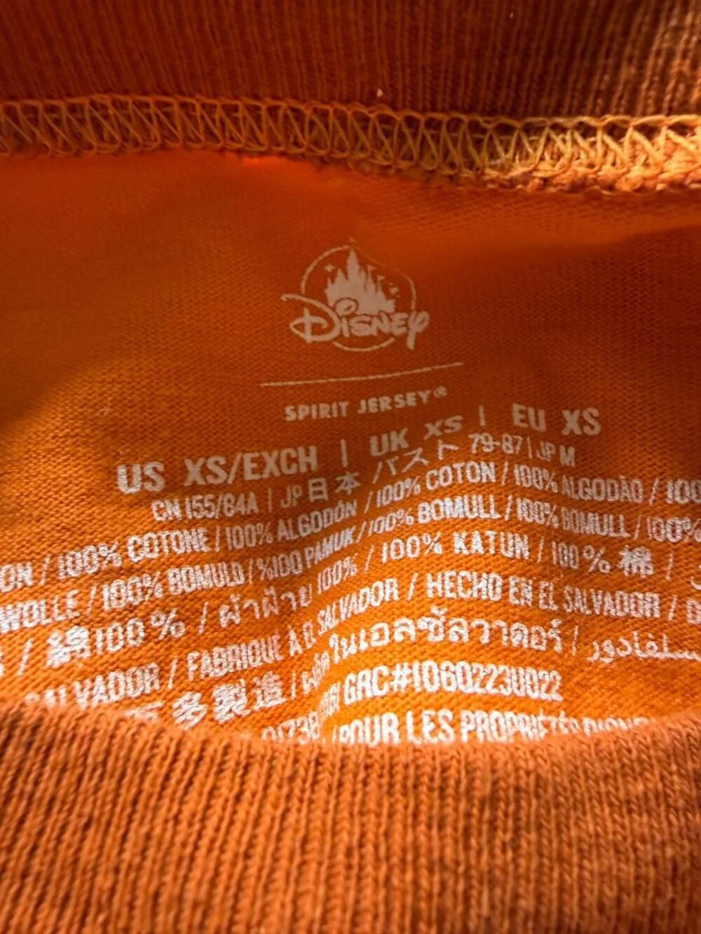 Disney Orange Bird Sunshine Epcot Flower Garden Festival Spirit Jersey XS - Picture 8 of 8
